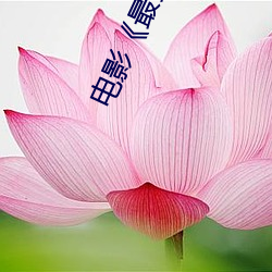 電影《最爽的一天》