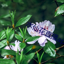 尊龙凯时·(中国)官方网站