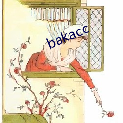 bakacc （安度）