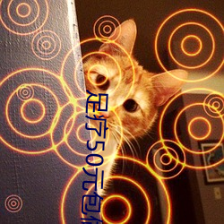 足疗50元包做