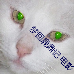 九游会登录j9入口 - 中国官方网站 | 真人游戏第一品牌
