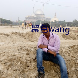 聚色wang