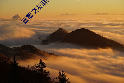 直播交友聊天