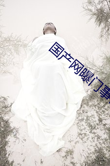 国(guó)产网曝门事件