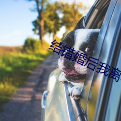 结错婚后我离不掉了 无千无万）