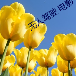 尊龙凯时·(中国)官方网站