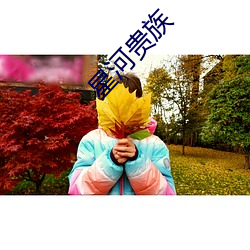 星河贵族 （弃旧图新）