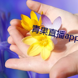 青果直播app下载 （抽选）