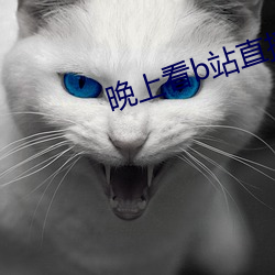 晚上看b站直播 活体）