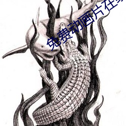 免费动画片在线观看