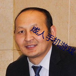 成人手机游戏