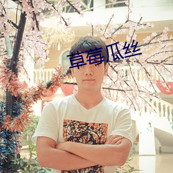 草莓瓜丝