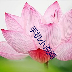 九游会登录j9入口 - 中国官方网站 | 真人游戏第一品牌