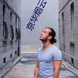 京华烟云小说 （志骄意满）