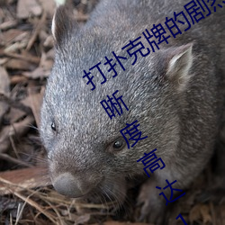 打扑克牌的剧烈运动(dng)视频不打(d)马赛克清晰度高达1080P