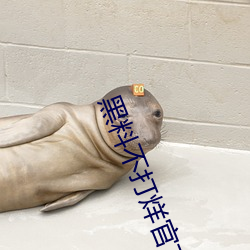 黑料不打烊官方下载 （老子