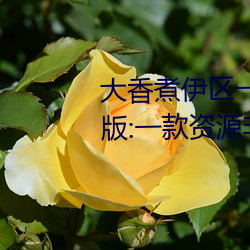 大香煮伊区一二三四区2021最新版:一款资源非常全面的播放