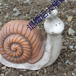 退婚(婚)后大佬她(她)又美又(又)飒