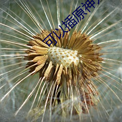 可以插原神人物模拟器游戏