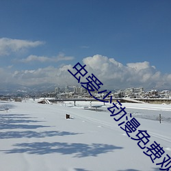 虫爱少动漫免费(費)观看