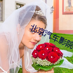 北京汽(汽)车影院