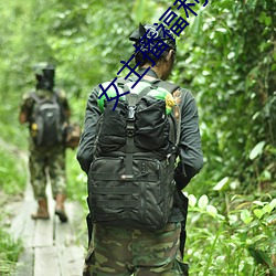 女主播福利