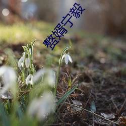 金年会(中国)官方网站