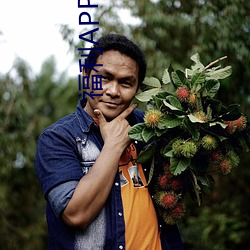 福利(lì)APP引(yǐn)导网站