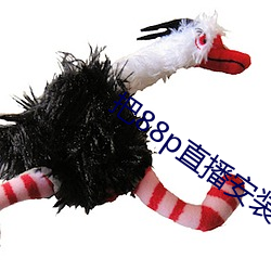 把88p直播安裝下載