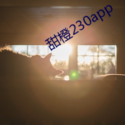 甜橙230app