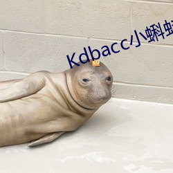 Kdbacc小蝌蚪