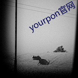 yourpon官網