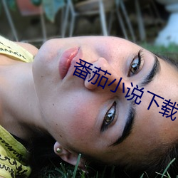 番茄小说下载