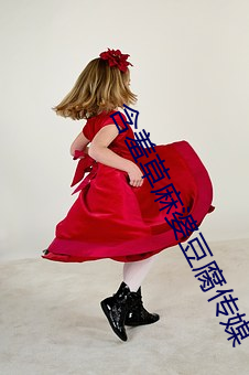 含羞草麻婆豆腐传媒