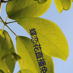 蝶恋花直播免费版