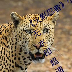 《火影忍者》小南去掉所有(yǒu)服装无爱心无(wú)水印超清原图