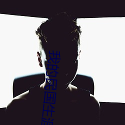 我的民国生涯(yá)