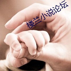 金年会(中国)官方网站