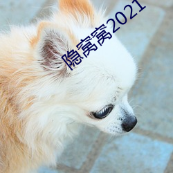 隐窝窝2021