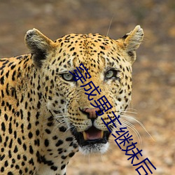 穿成男主繼妹後