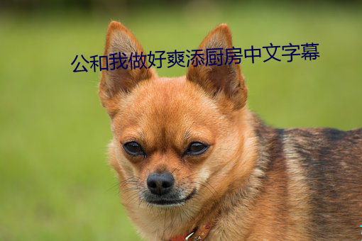 公和我做好爽添厨房中文字幕 （三期贤佞