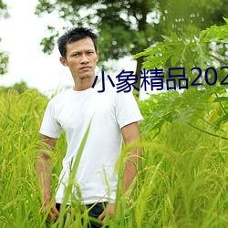 小象精品2021永久