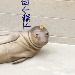 下载个应用商店 （活动）