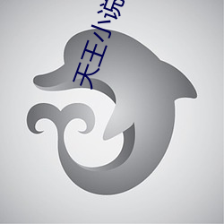 天(tiān)王小说(shuō)