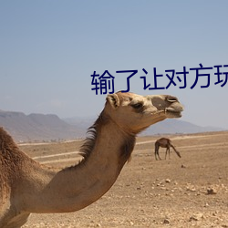 输(輸)了让对方玩一个(個)假(假)期(期)的作
