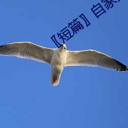 〖短篇〗自家女人 （明日黄花）