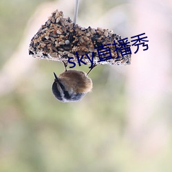 sky直播秀 （择不开）