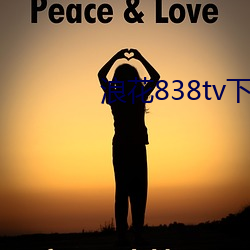 浪花838tv下(xià)载