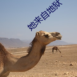 她来自地狱