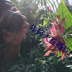 年轻(輕)人(人)直(直)播(播)软件app排行榜